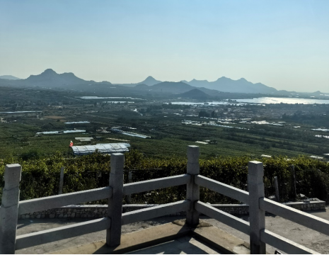 http://www.84dxw.cn平度大澤山葡萄園引進(jìn)萊恩德土壤肥料檢測(cè)儀， 輕松掌握土壤營(yíng)養(yǎng)